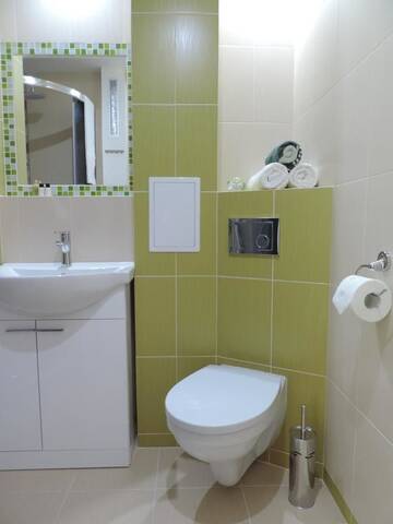 Фото Апартаменты Apartament Green г. Кросно 2